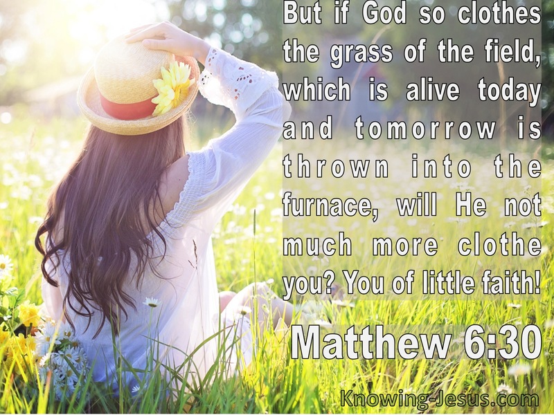 Matthew 6:30 If God So Clothe The Grass Of The Field (white) 